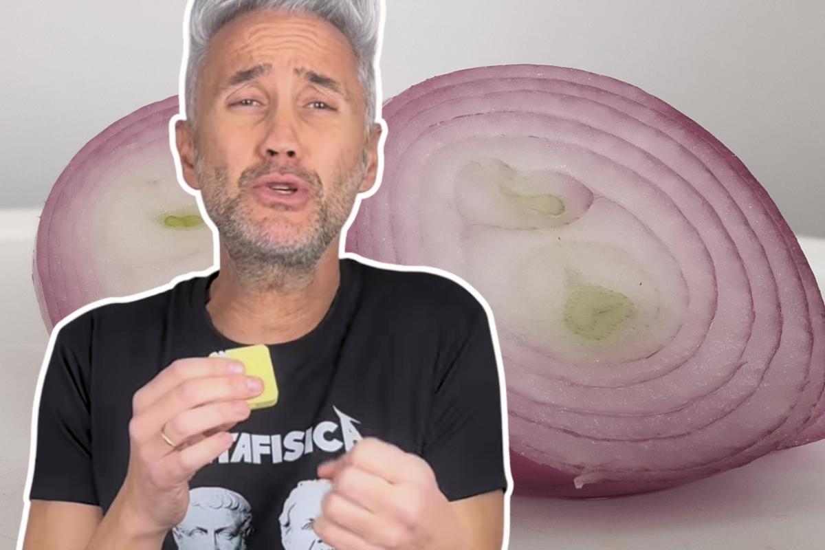 cipolle e prof schettini