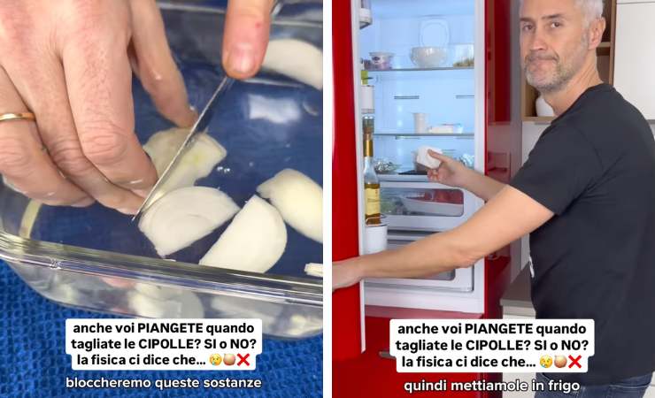 screen video schettini